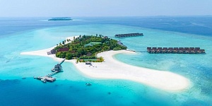 Dhigufaru Island Resort  5*